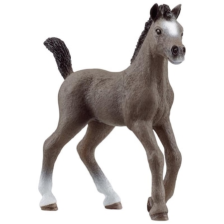 Schleich Schleich Cheval de Selle Francais Foal Gray 13957